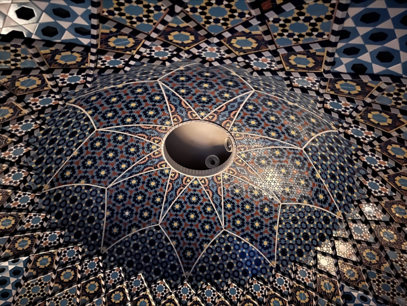 processed 8DBD5DFE ECB8 482A 9EA5 A82683AE171C