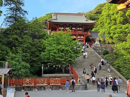 kura6.jpg